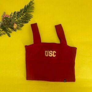 Hype & Vice USC crop top